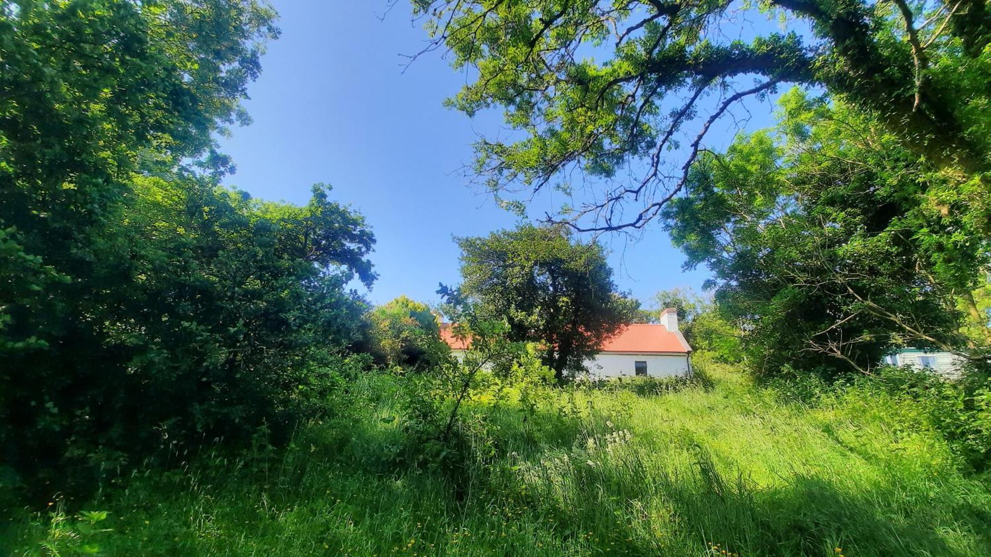 -Going Back In Time- 200 Year Old Farmhouse Creegh Dış mekan fotoğraf